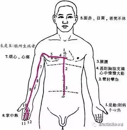 怎么瘦大腿后背 a09ad8379fb947f79142dedd550c762b.jpeg