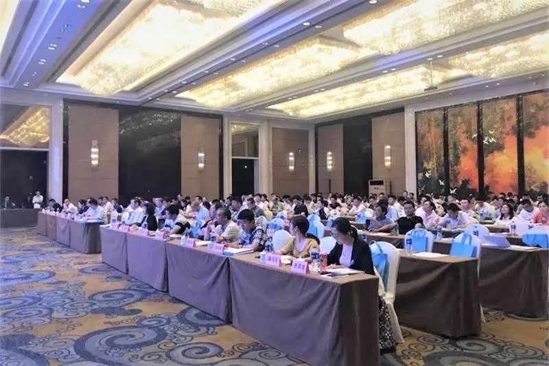 泗阳2019经济总量_泗阳经济开发区徐梓艺(3)