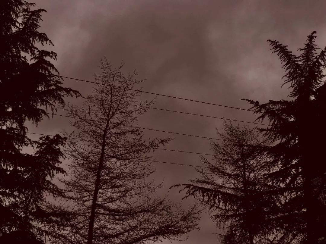 纺专的夜 | 你爱了没