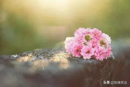 a610a3b87db34e66b554a142e43c9f9c.jpeg