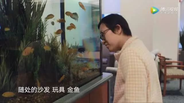 a62fe8b3605842ad9a3d68927fc20ead.jpeg