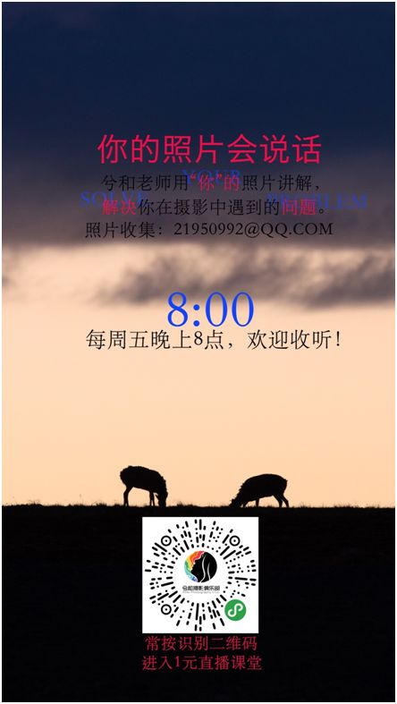 你的照片会说话 ——兮和用朴实的语言针对你的摄影作品解惑 澳门新金沙赌城