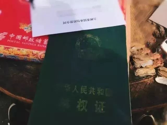 文章配图-5