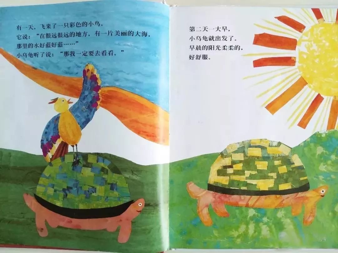 靖晗姐姐讲故事《想看海的乌龟》