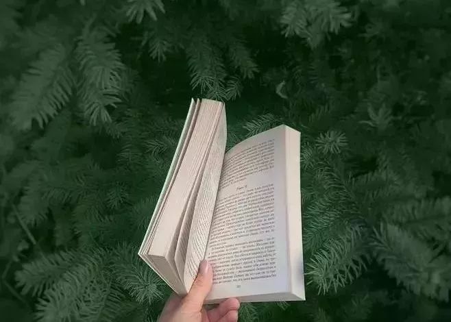 做人,靠心,不靠嘴,用真心待人,才能换得知己,用嘴巴待人,难以换得信任