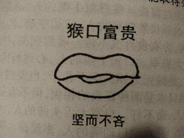 四字口:嘴唇两角端正方齐,略向上仰,口角洵泽称为四字口.