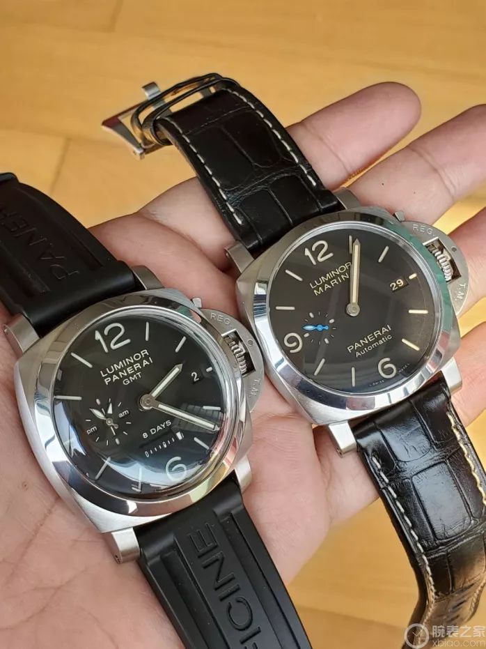 ��������һֻ���ɺ�����PAM233������