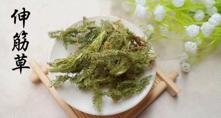 三味中药泡水喝,宁心安神,补肾延年,让你越活越年轻