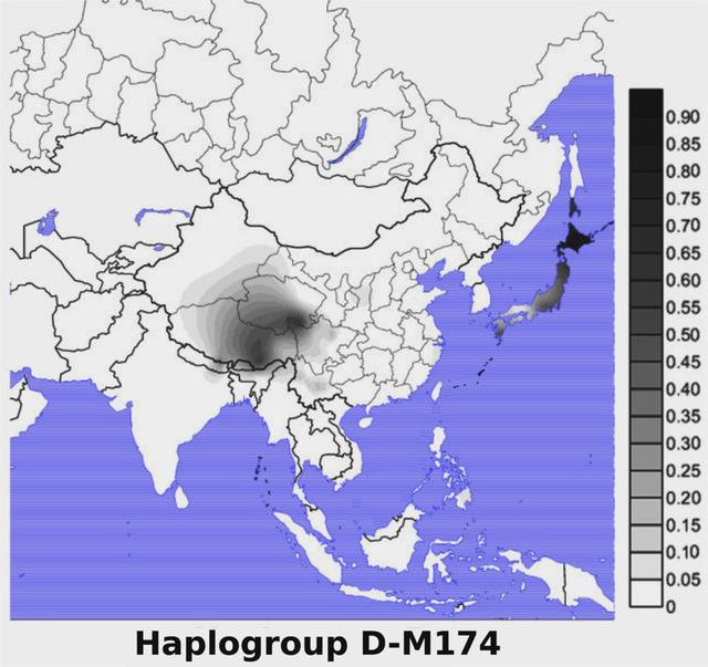 日本的民族人口_日本人口(2)