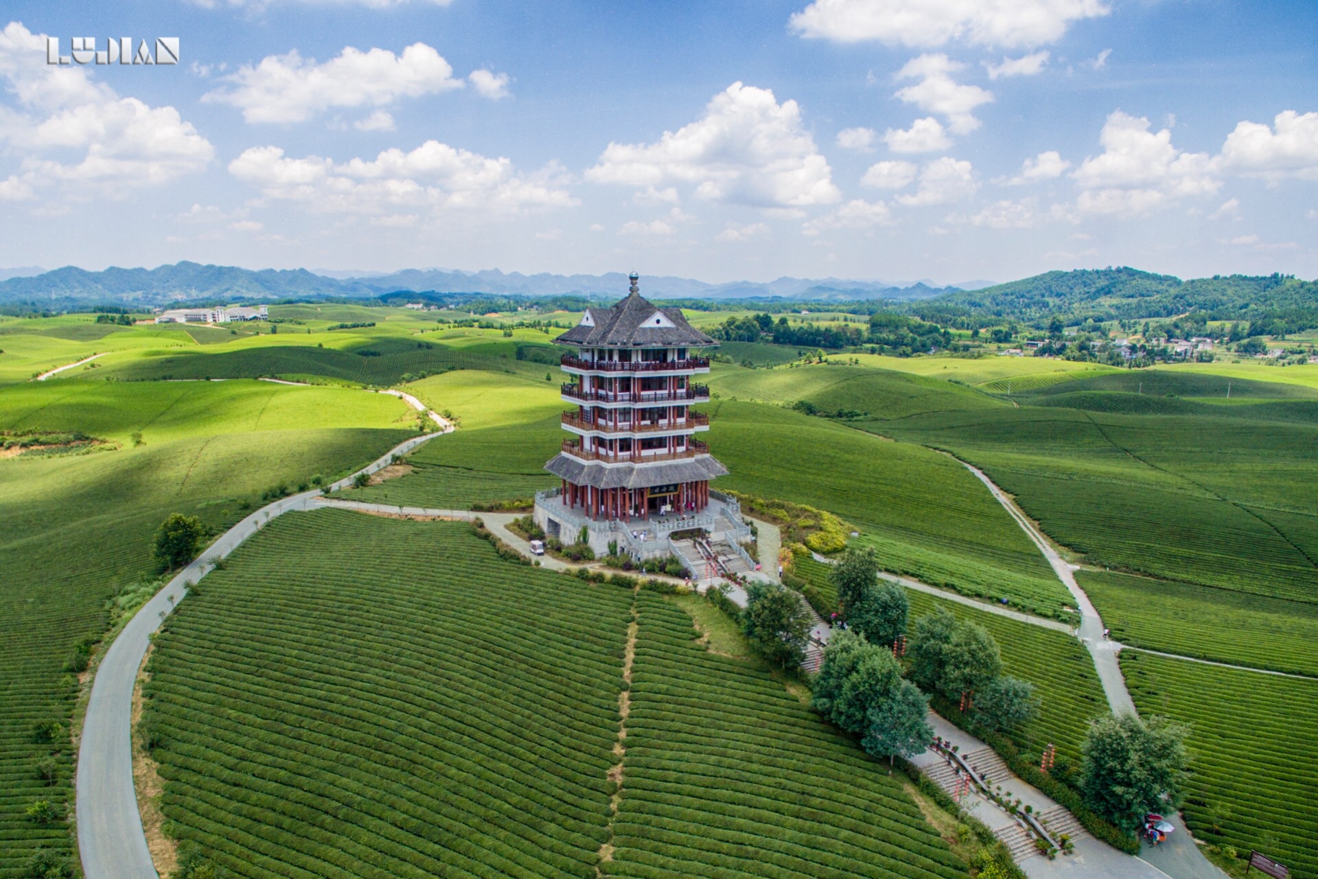 世界上最大的茶海,其实在贵州湄潭县