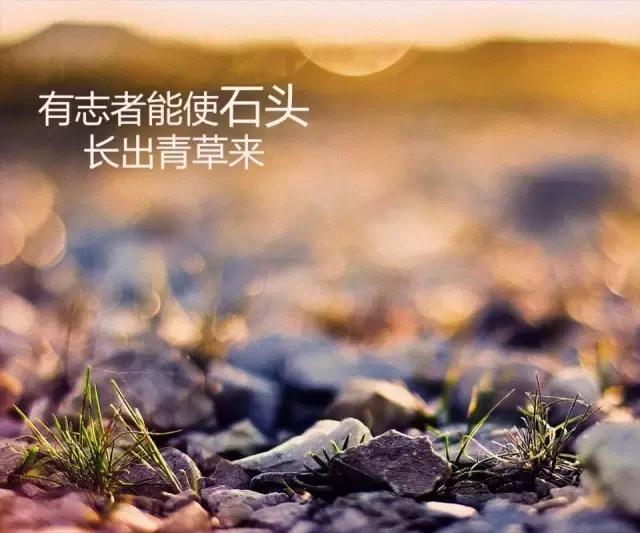 什么是高级的苦 c9b40fa358e6423d9f0719d78b2ce95f.jpeg