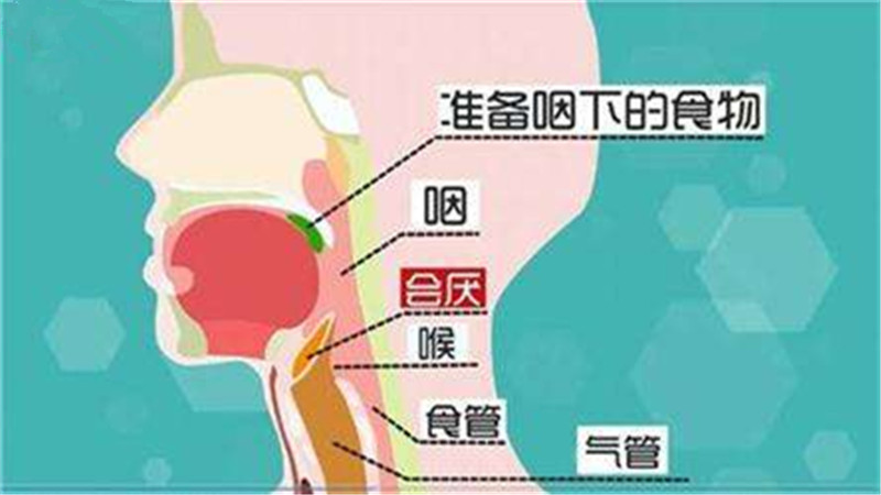                     原创            宝宝出现的会厌炎是扁桃体炎吗？