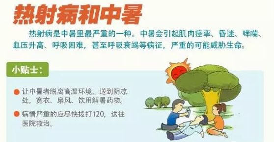 d30ce8676b07406c80a79d34506a2185.jpeg