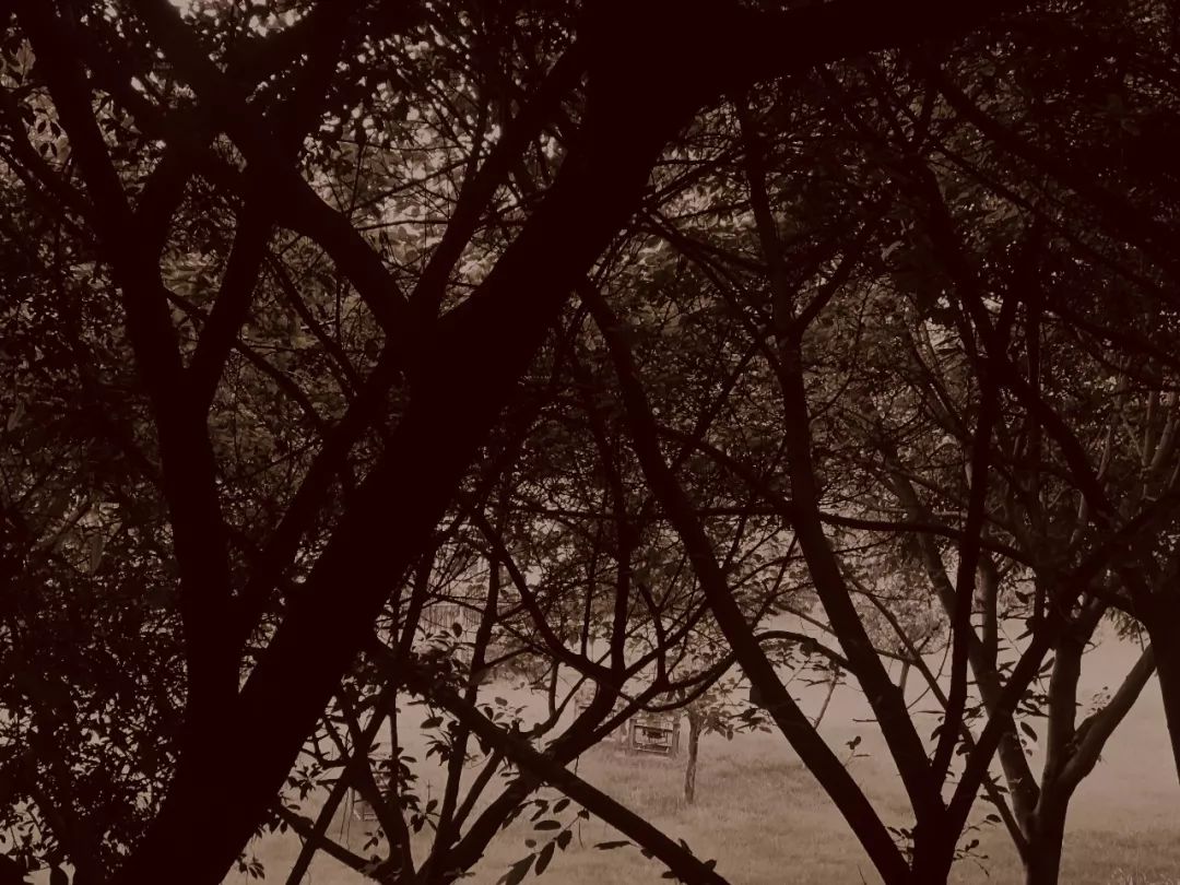 纺专的夜 | 你爱了没