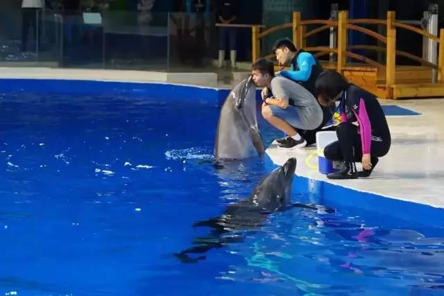 海洋大世界海洋馆团购 d8de371dde864297ba20235068d3ac1a.jpeg