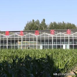 平凉市崆峒区经济总量_平凉市崆峒区城区地图(2)