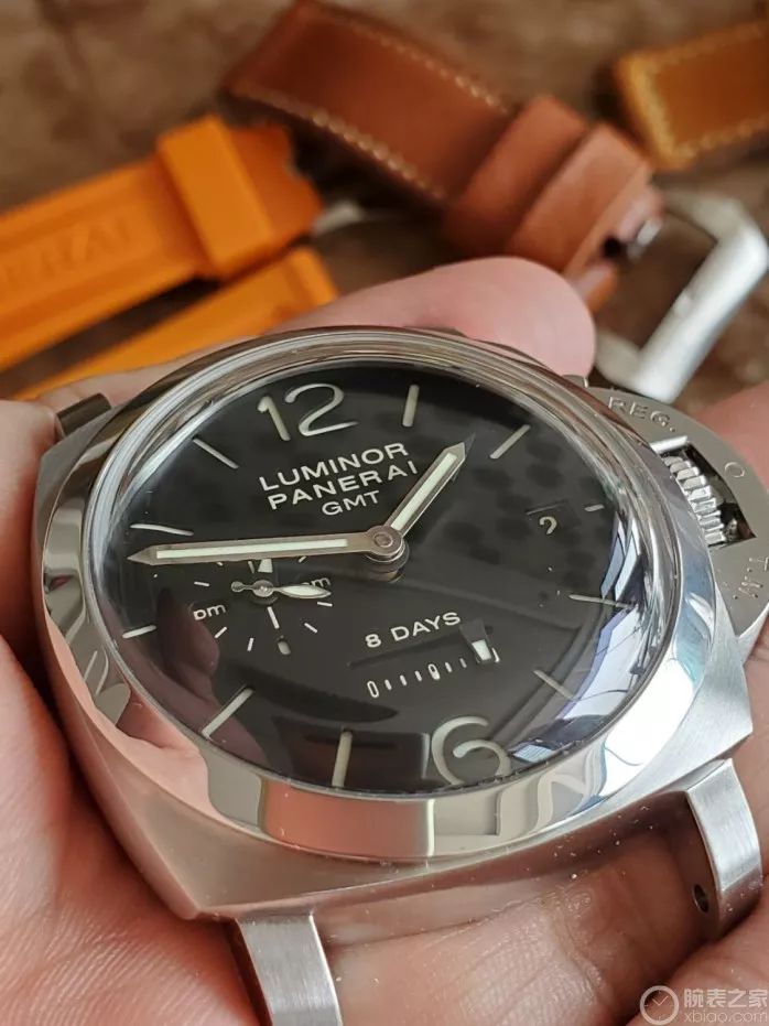 ��������һֻ���ɺ�����PAM233������