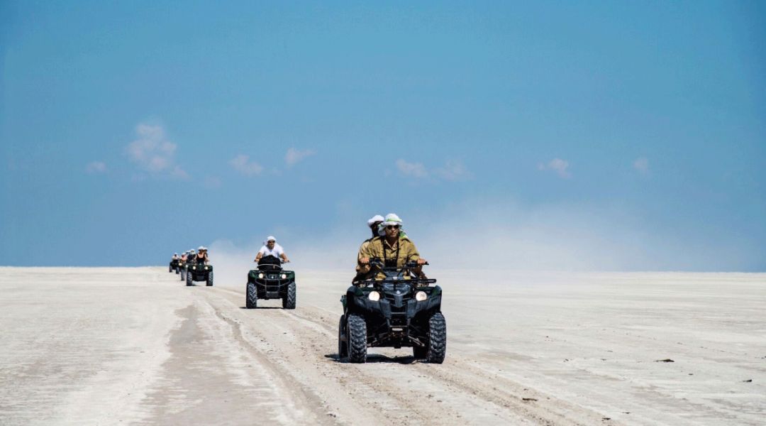 博茨瓦纳奥卡万戈和玛卡迪卡迪盐沼飞机游猎1