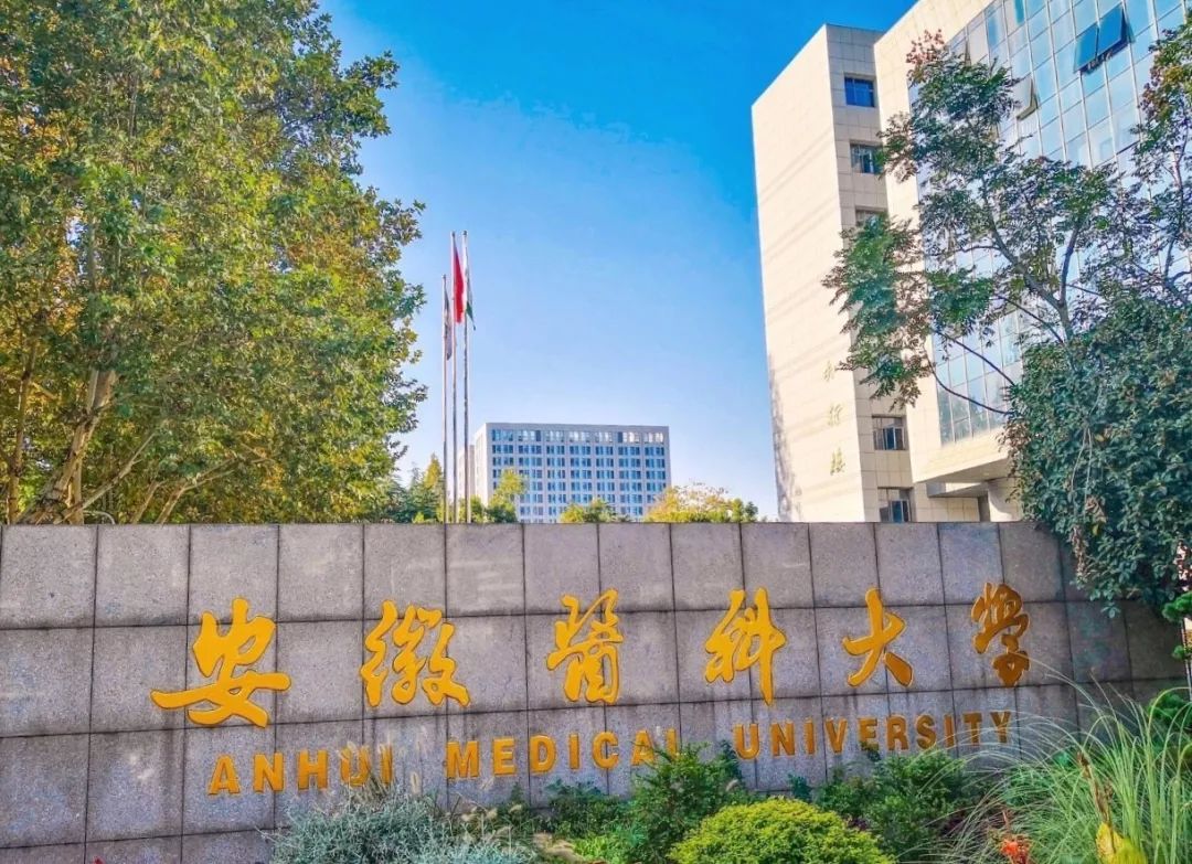 【好消息】安徽医科大学上榜第一届安徽省文明校园名单!