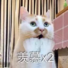 名师指导 | 嘉汇中学张野:小升初的暑假,合理安排别荒废 老葡京网站