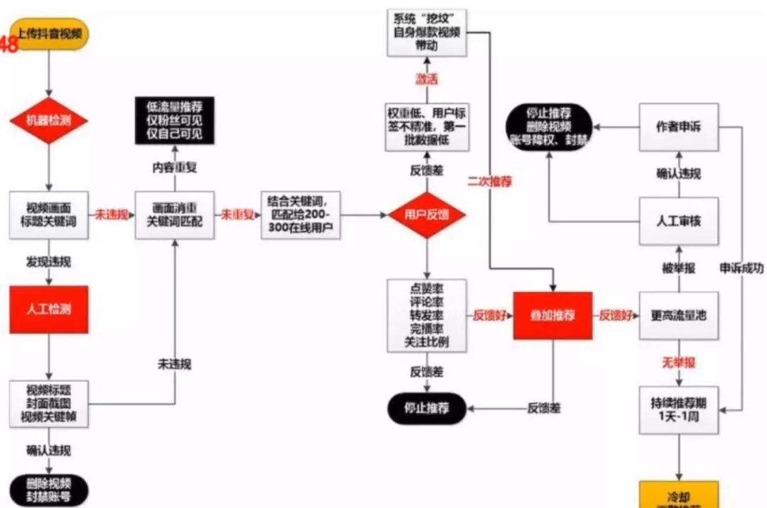 抖音官网人口_中国人口报官网