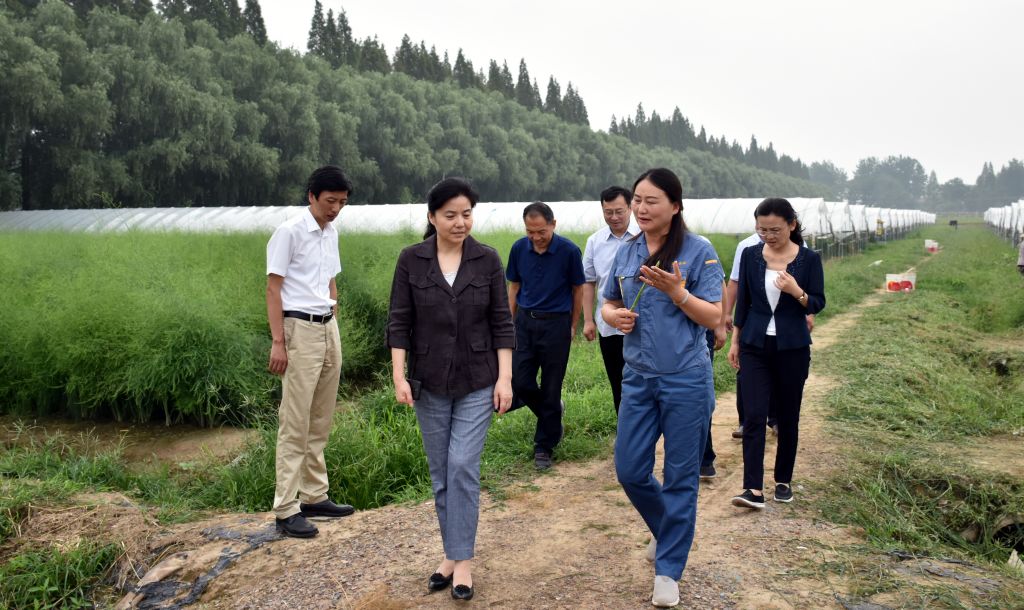 丁向群强调推深做实一抓双促工程着力抓好党建引领信用村建设