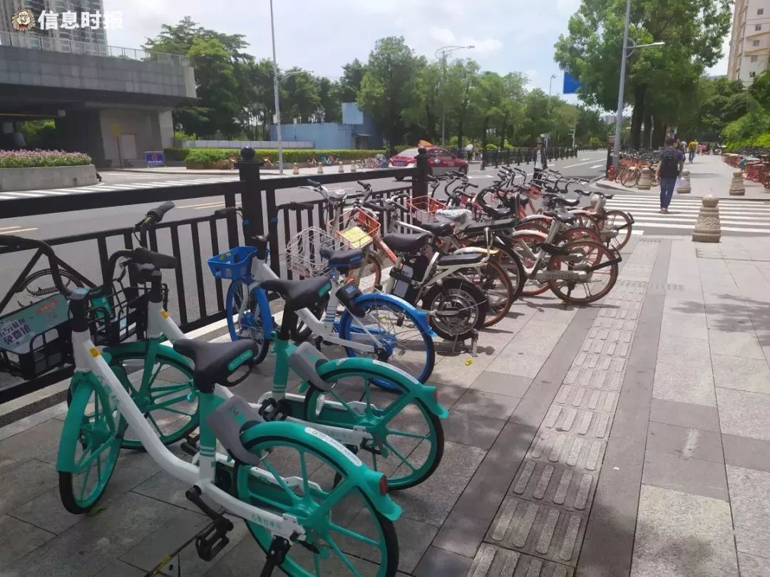信息时报记者 崔小远 摄 广州市内ofo共享单车"小黄"几乎没了踪影, 但