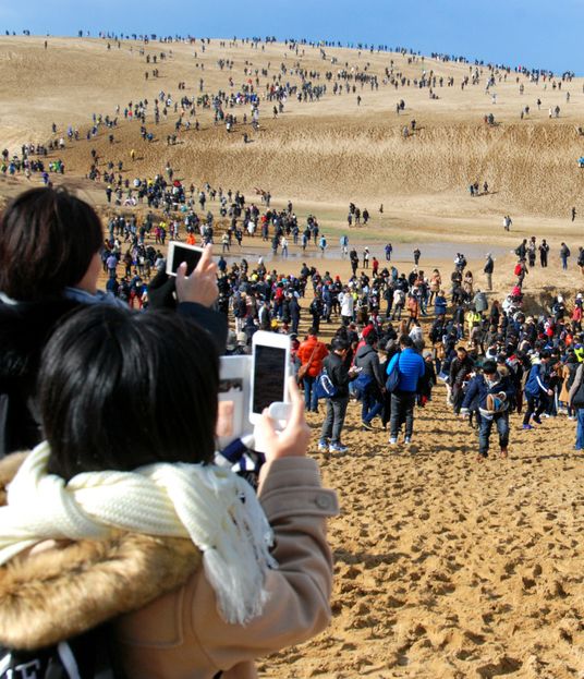 文章配图