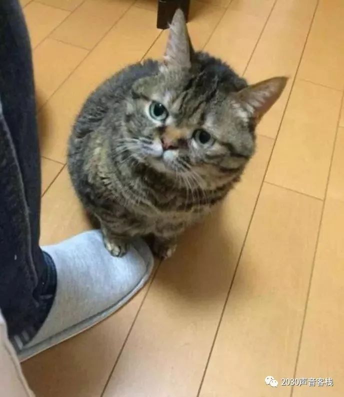 【开心杂货铺0706】我马上到了,你找一个显眼