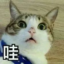 给宝宝洗澡是件大事,你做对了吗? 澳门赌博官网注册