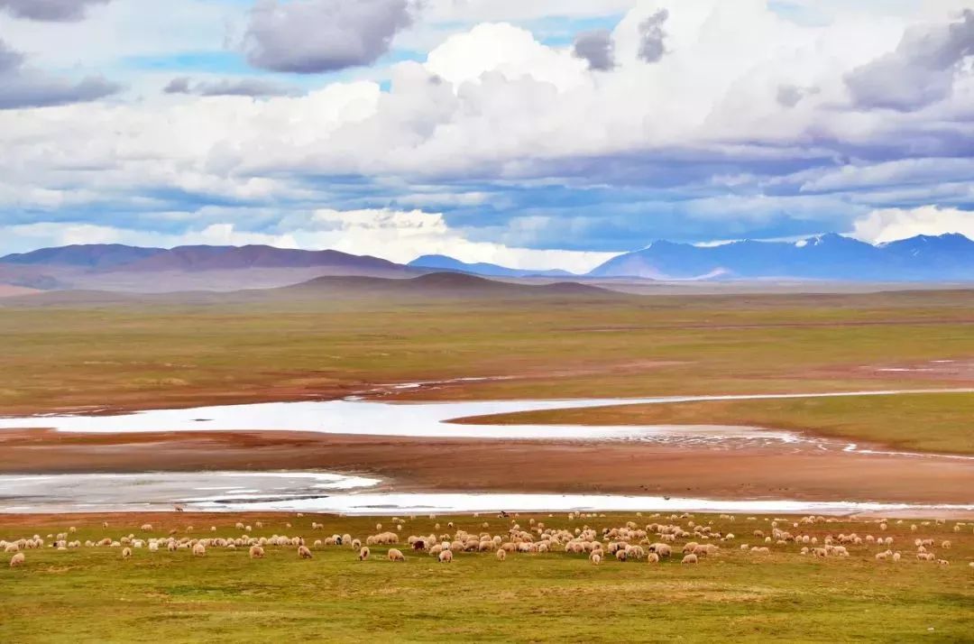 都兰简谱_都兰马头琴(3)