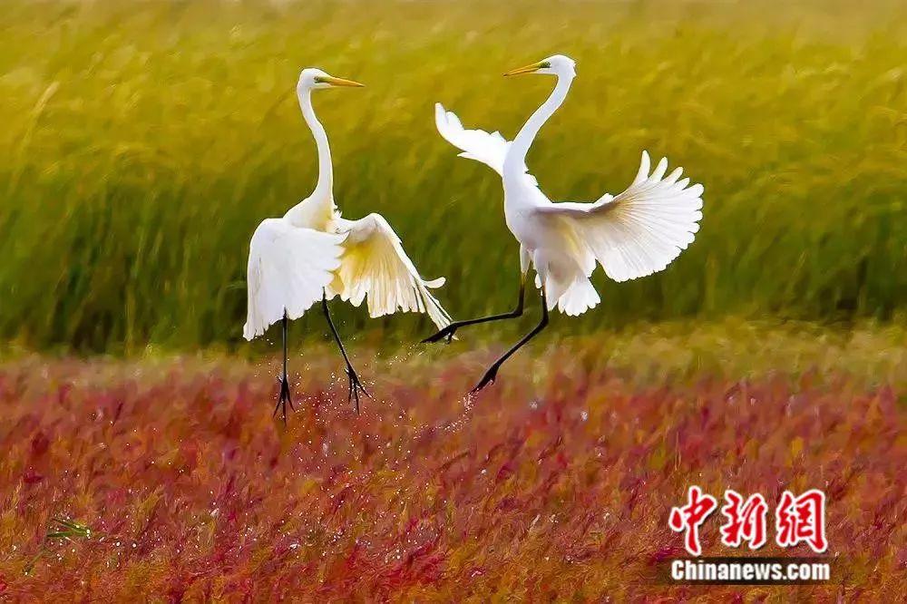 「黃渤」申遺成功！你的「影帝」在這裡，長這樣 旅遊 第13張