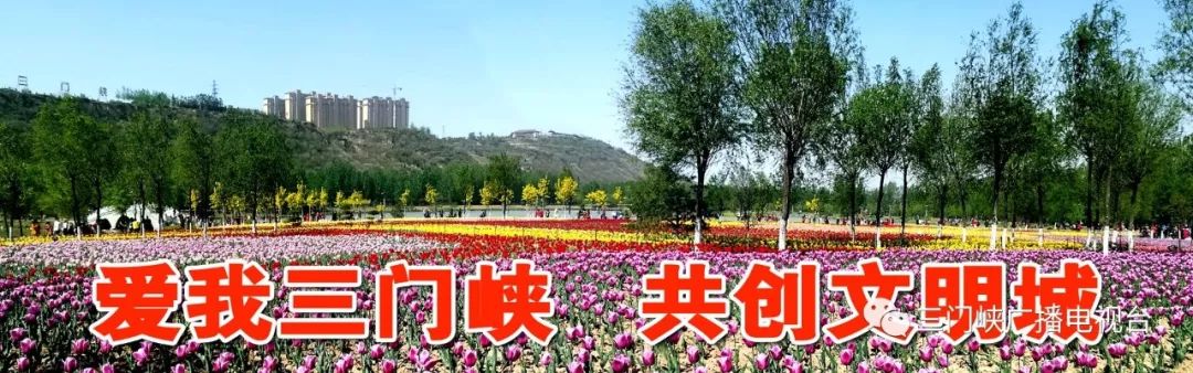 三门峡开展全域无垃圾问题线索征集公告 ag真人平台