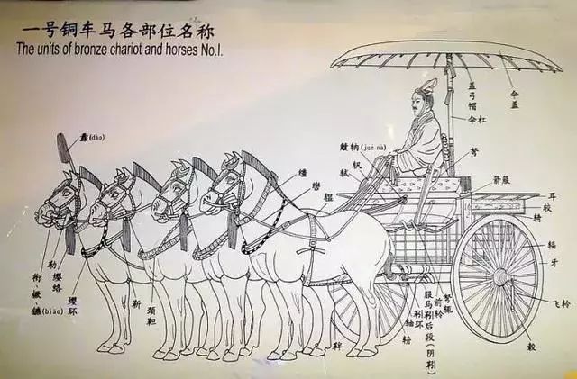 牵马的缰绳断了猜一成语_腿断了图片(3)