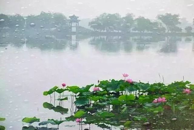 听雨(听醉了!!) 欧美性高请大毛片