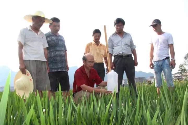 植保人口号_计划生育标语雷人口号(2)