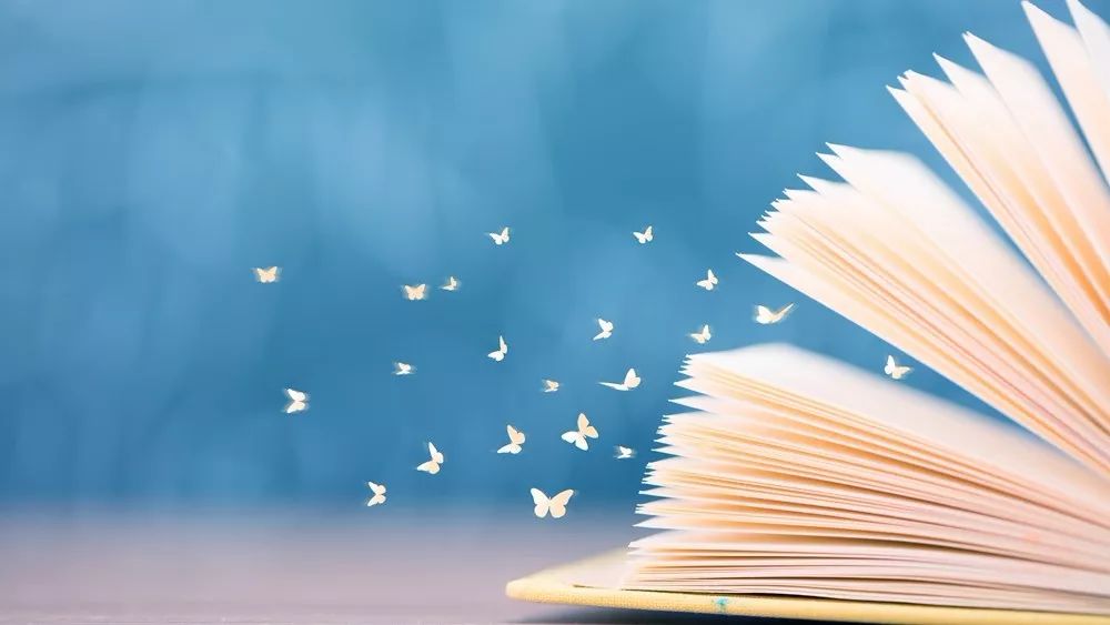 夏日读书好消暑 闲淡独享好时光