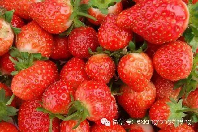即使夏天也有很多水果是催熟的!20秒看穿! 博E百国际娱乐场