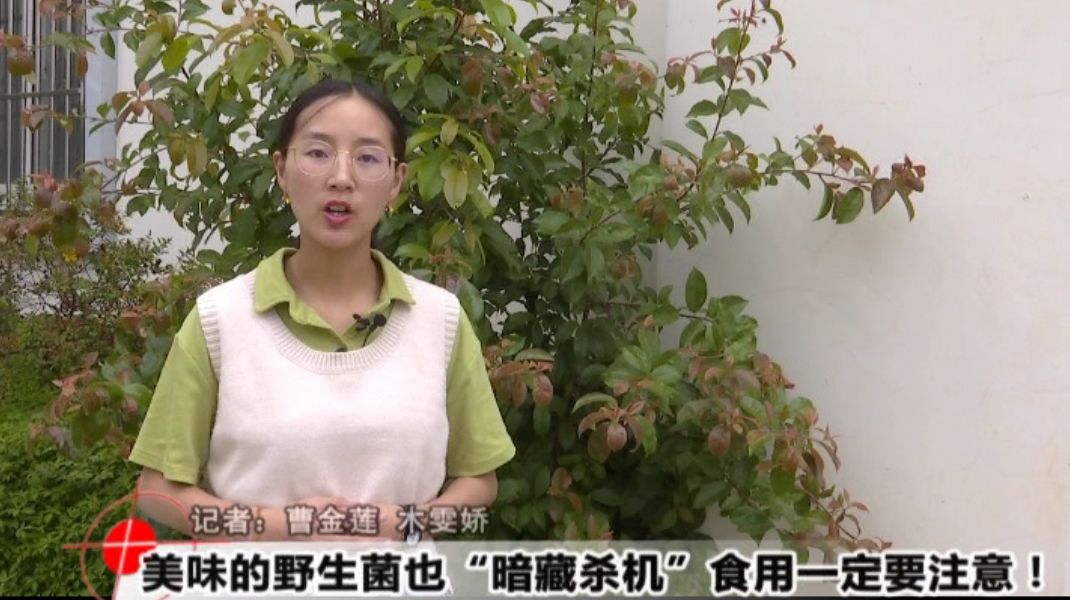西双版纳有多少人口_西双版纳的植物有哪些(3)