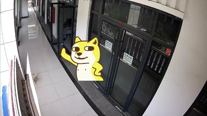 56dff5a1f5c14ffdadd679f76c5f885d.jpeg