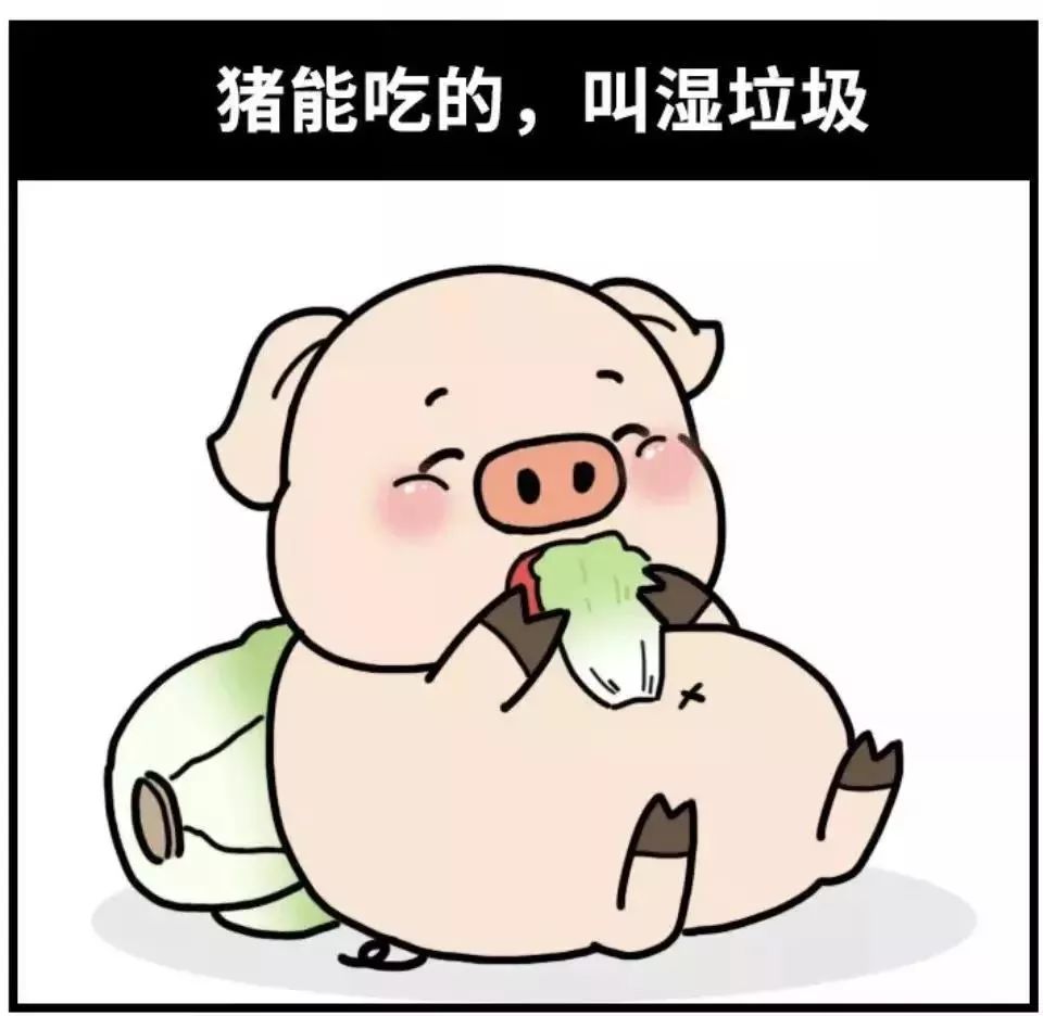 文章配图-44