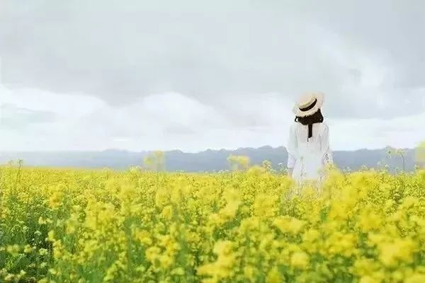 生死人生常态 5fd90c4bd02341d7b69308ea5d013840.jpeg