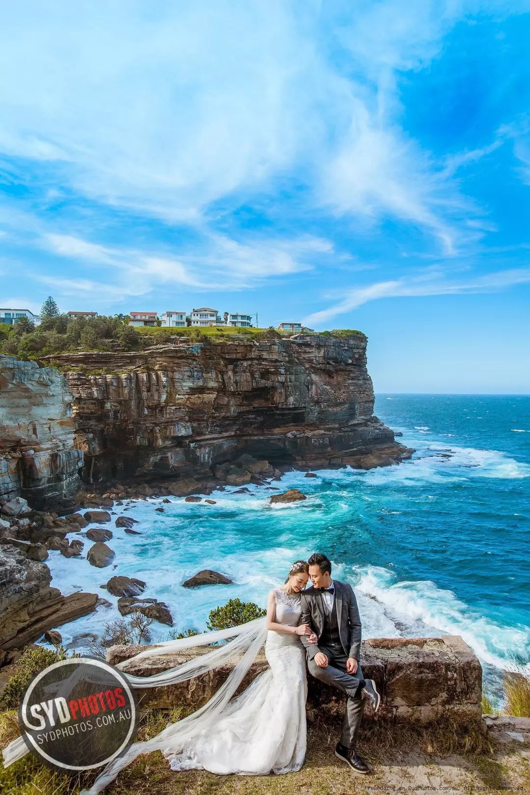 何献君奚梦瑶领证结婚!撒狗粮除了深情告白还