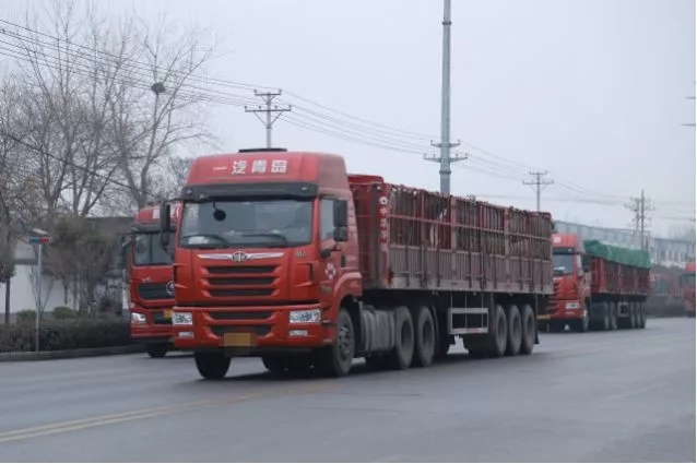 6823a116e91747188ab7176168793558.jpeg
