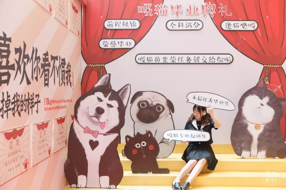 当红漫画家白茶携新作空降杭州吾皇巴扎黑一家又双叒来搞事情了
