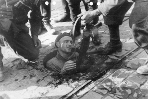 惨遭 来自搜狐网