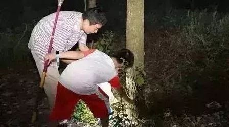 徐闻夏天最常见,现在售价高达7000元/斤!你家树上可能就有! 色情综合