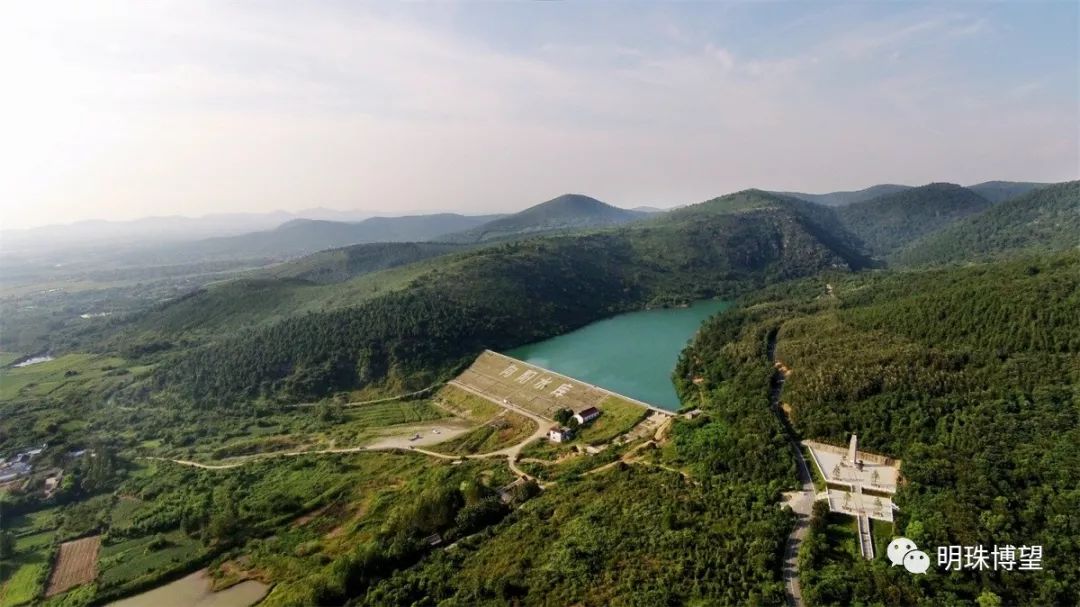 博望区深入开展创建森林城市各项活动,厚植绿水青山绘就生态博望!