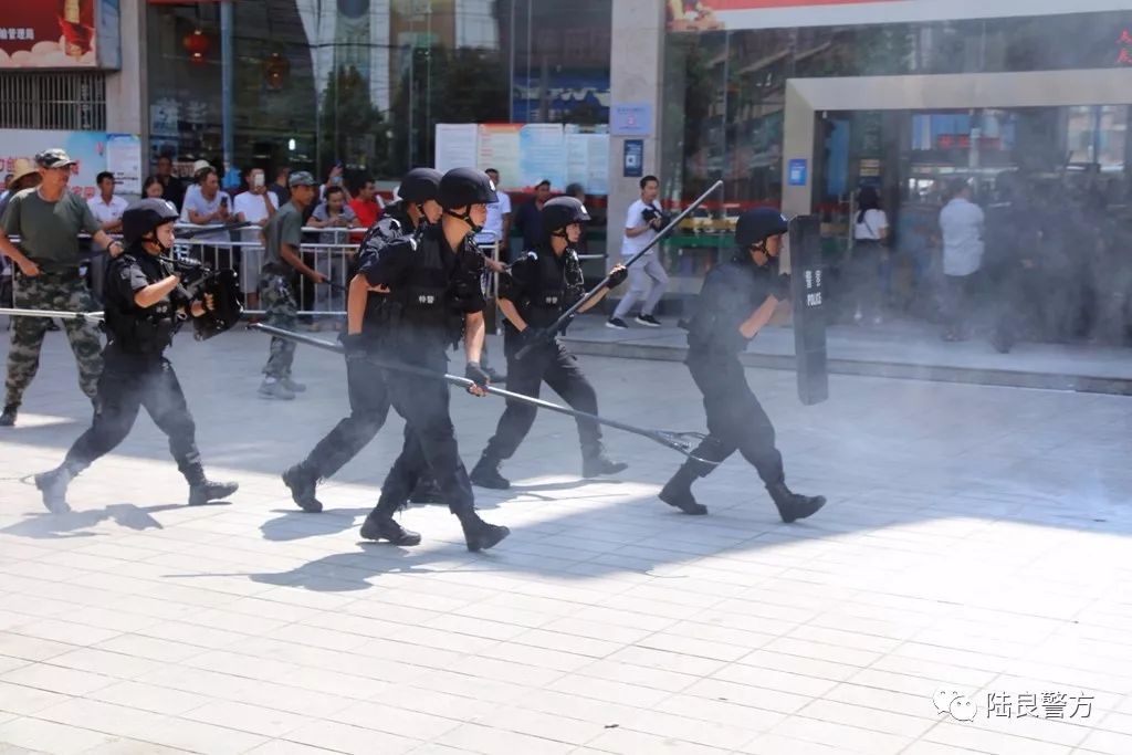 陆良有多少人口_来看看我们的家乡陆良100年前是什么样的