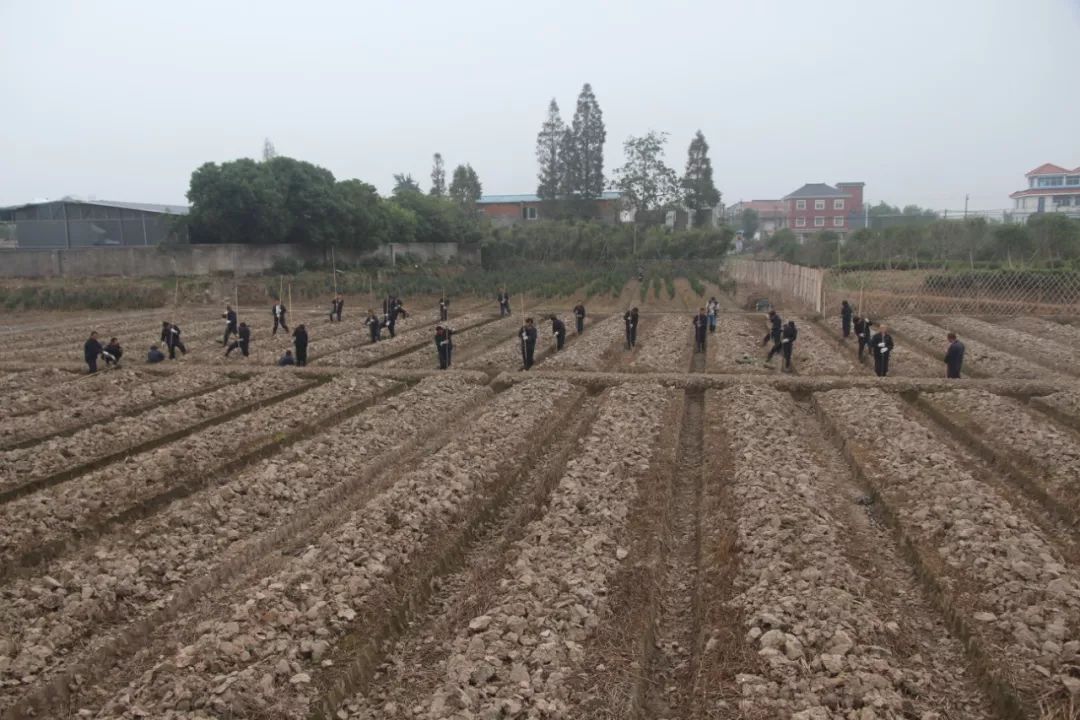 刚刚，“良渚古城遗址”成功列入《世界遗产名录》！